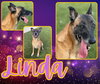 LINDA - Photo 1