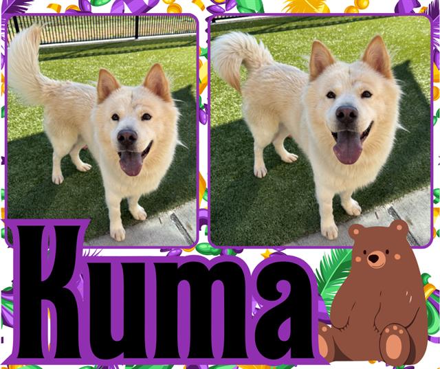 KUMA