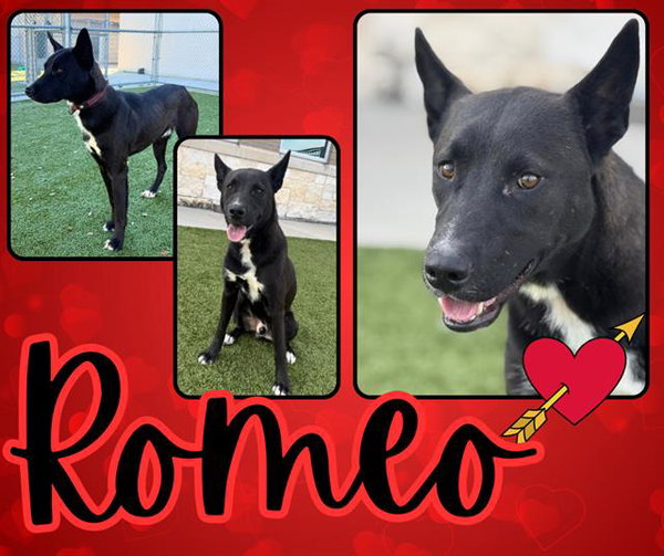 ROMEO