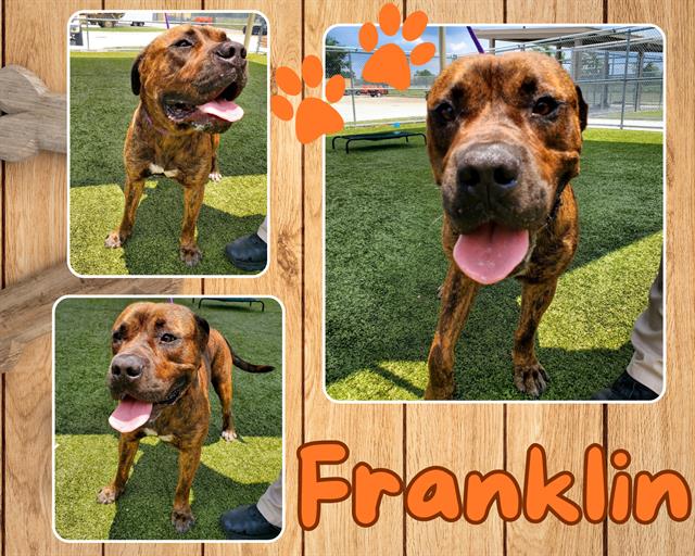 FRANKLIN