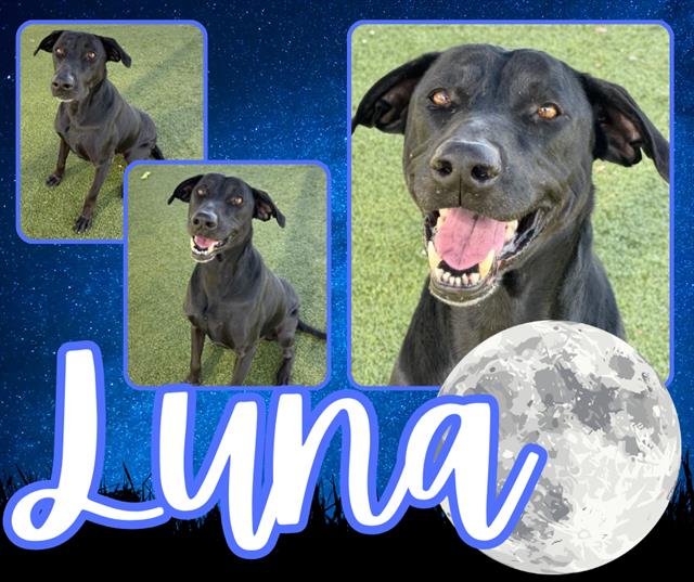 LUNA