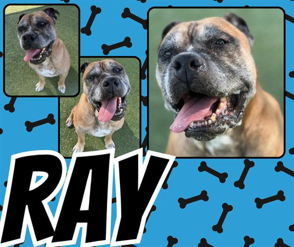 RAY