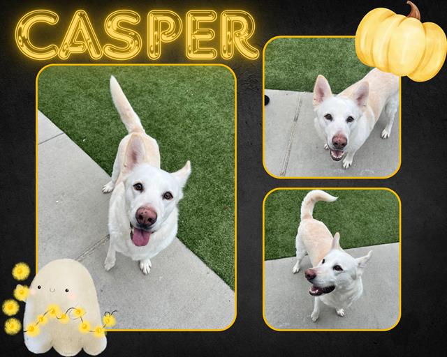 CASPER Image