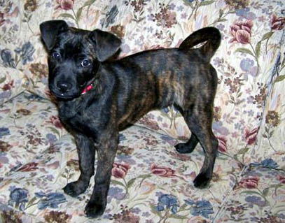 Tucker