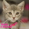 Molly