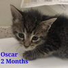 Oscar