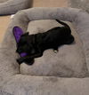 Missy