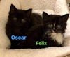 Oscar & Felix