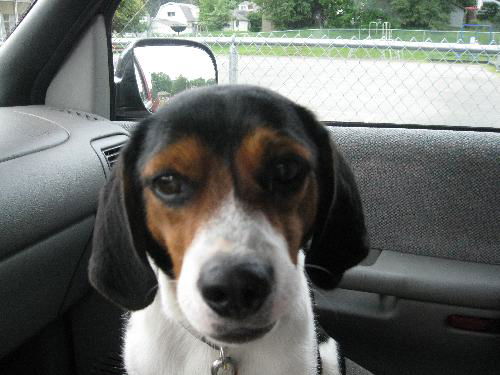 Cooper