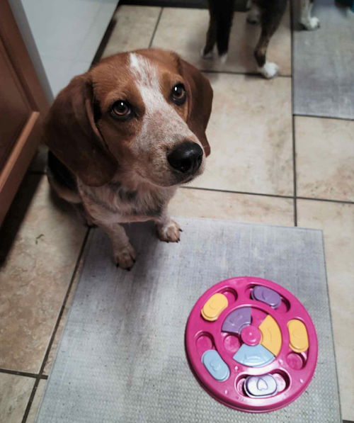 Roscoe