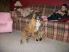 Tuffy