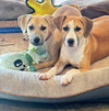 Zella - Photo 13