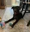 Sophie - Photo 7