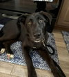 Sophie - Photo 8