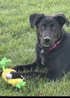 Sophie - Photo 9