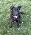 Sophie - Photo 6