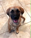 Mavis - Photo 3