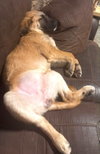 Mavis - Photo 5