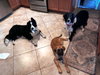 Mavis - Photo 6