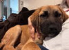 Mavis - Photo 7