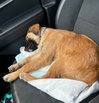 Mavis - Photo 9