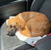 Mavis - Photo 10