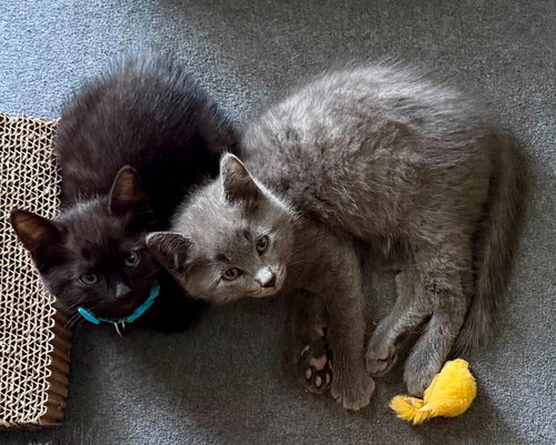Fred & Ricky