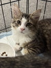 Eloise