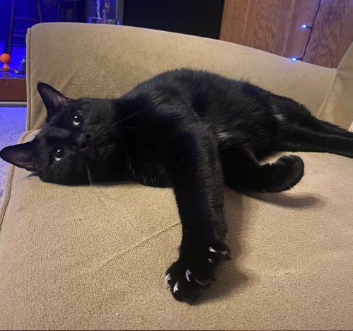 Photo 2 of Luna