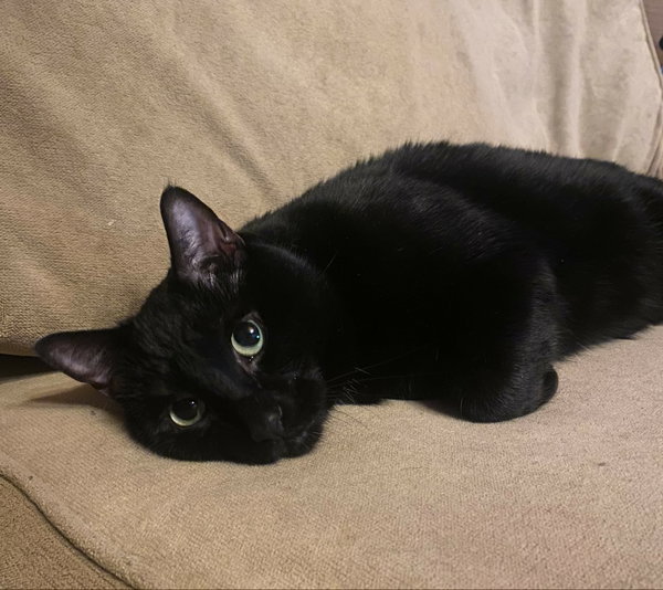 Luna