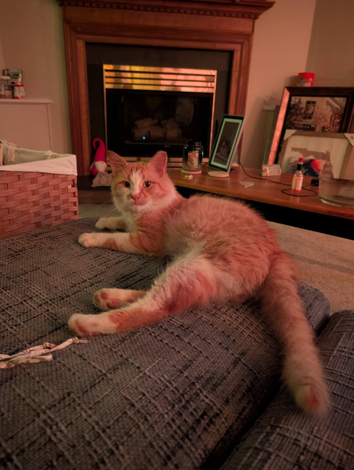 Photo 2 of Walter