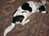 Patches