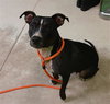 PAWLENE - Photo 1