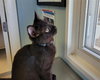 HAGAR - Photo 1