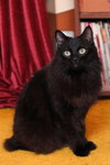 Seeley - Photo 1