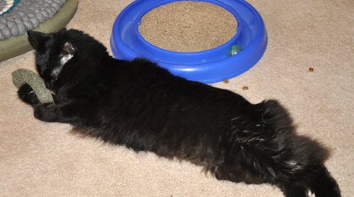Photo 4 of Seeley