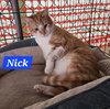 Nick Fury - NC - Photo 1