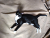Mittens - NC - Photo 4