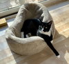 Mittens - NC - Photo 2
