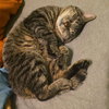 Roscoe - NC - Photo 1