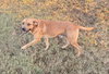 Lukas - Photo 3