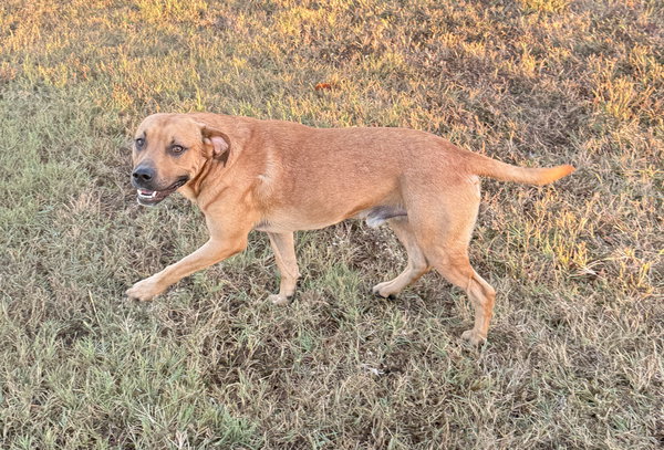 Lukas