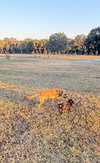 Dan - Photo 5