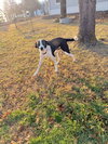 BoJangles - Photo 2