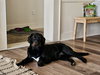 Jeni - Photo 3