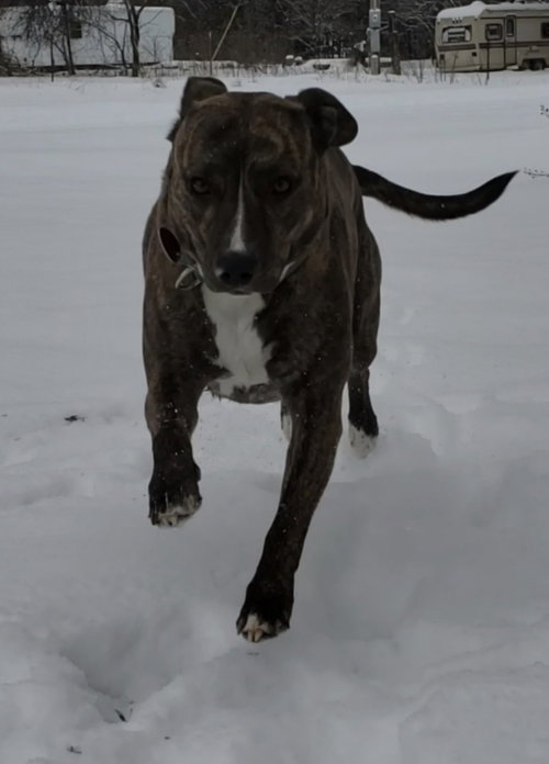 Honey, photo 2