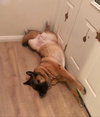 Luna - Photo 3