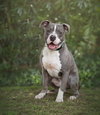 Bru - Photo 3