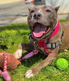 Bella - Photo 2