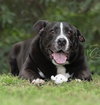 Danny - Photo 3